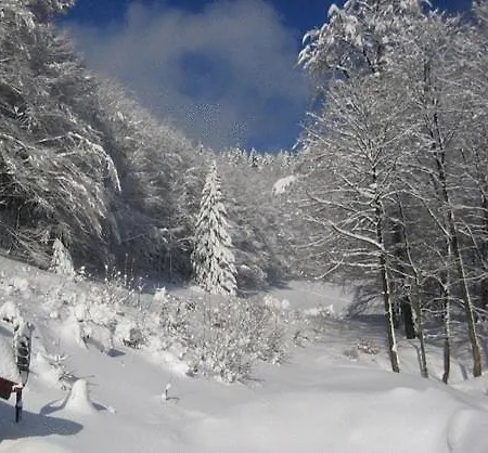 & Sterngrund Otel 3*