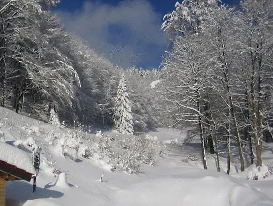 & Sterngrund מלון 3*